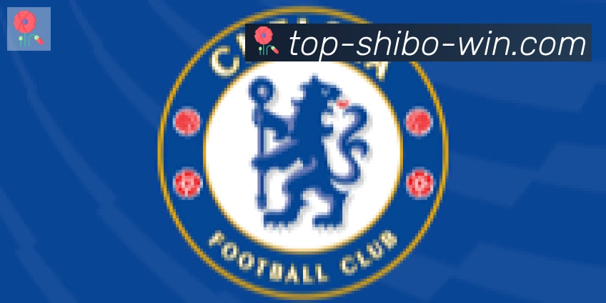 世博体育官网合作伙伴